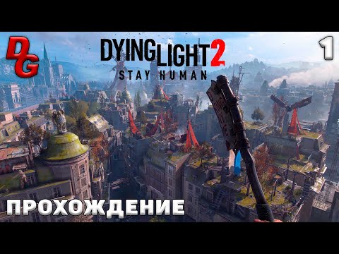 Сейчас или никогда: Разбор ключевого задания в Dying Light 2